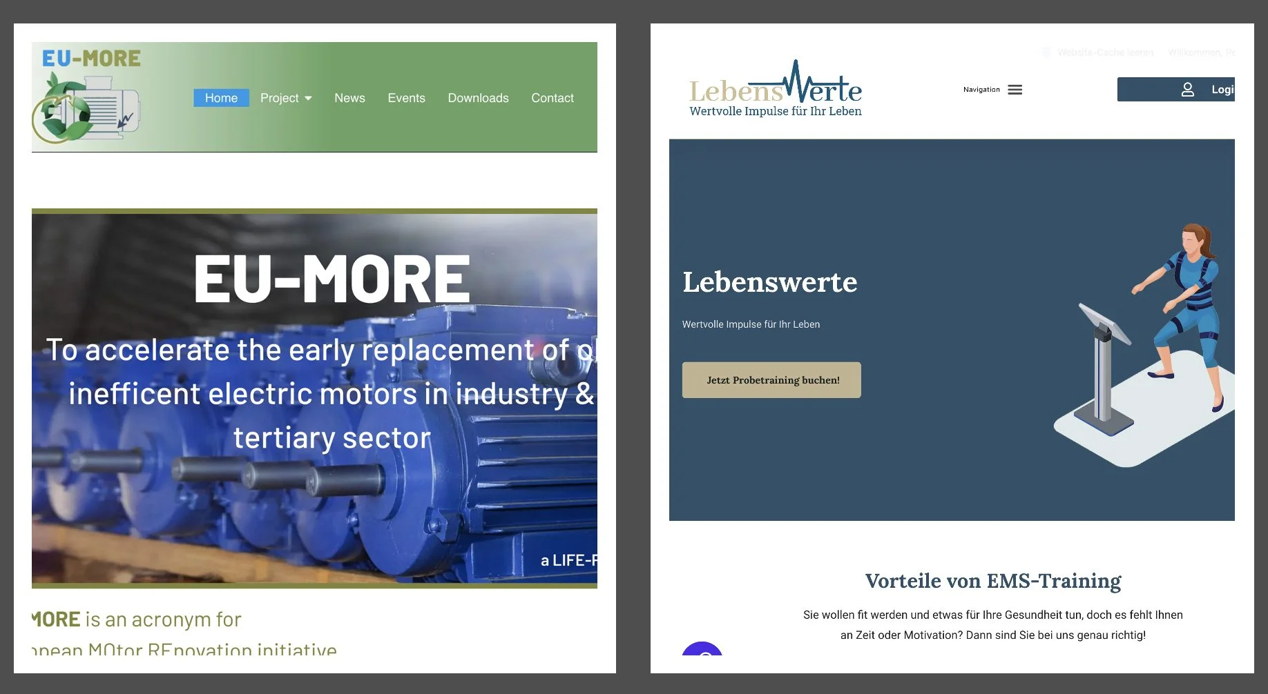 Neue Webseiten - EU-More und Lebenswerte EMS