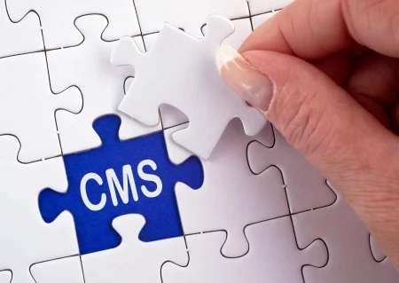 Puzzle mit CMS-Schriftzug und Hand.